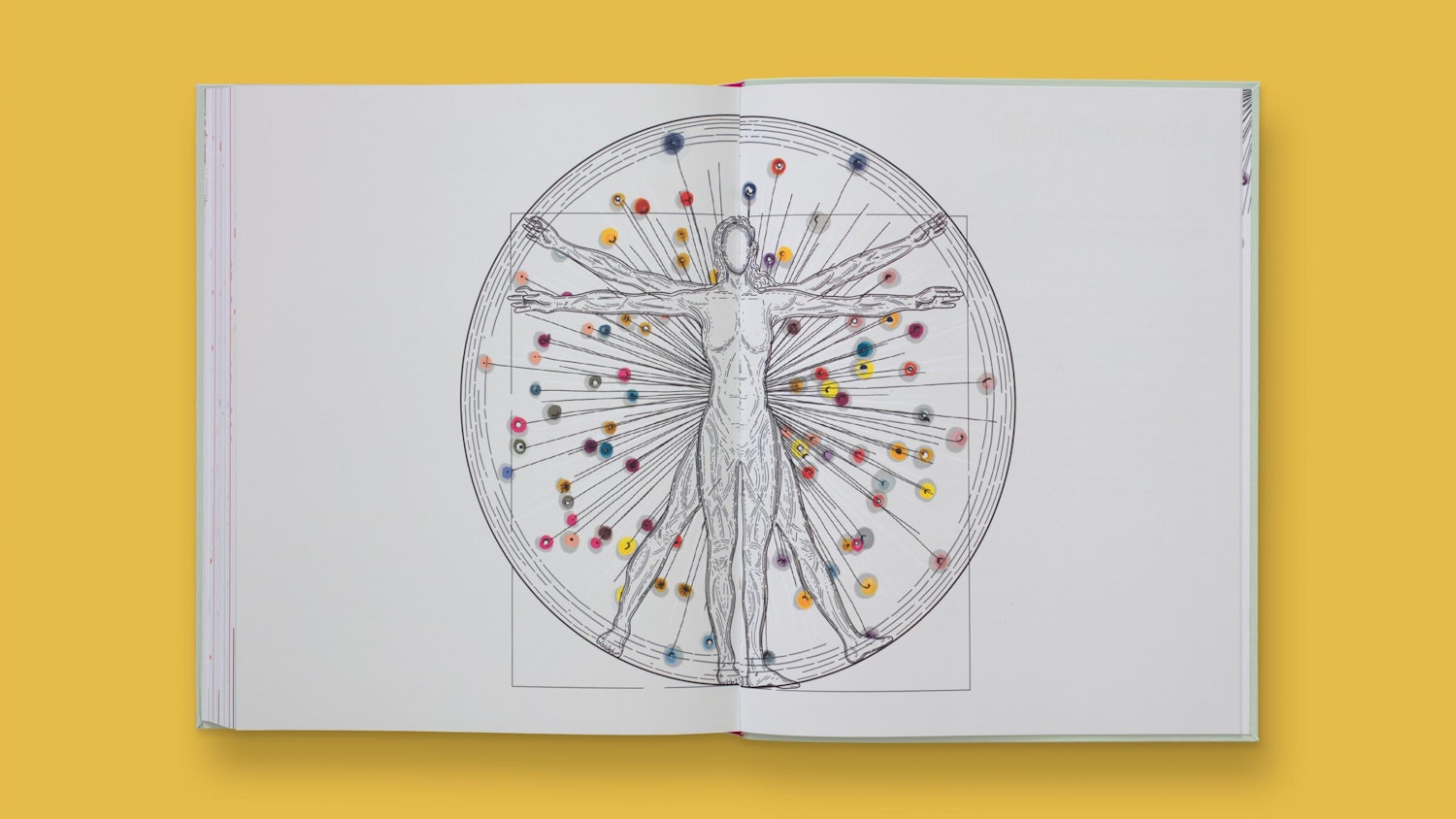 Speak Data: A Graphic Language Designed for Data Humanism 10